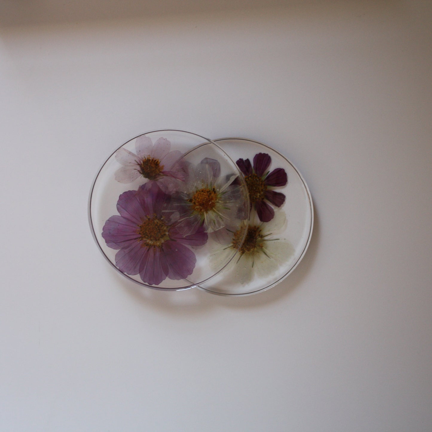 Coasters - Set of 2