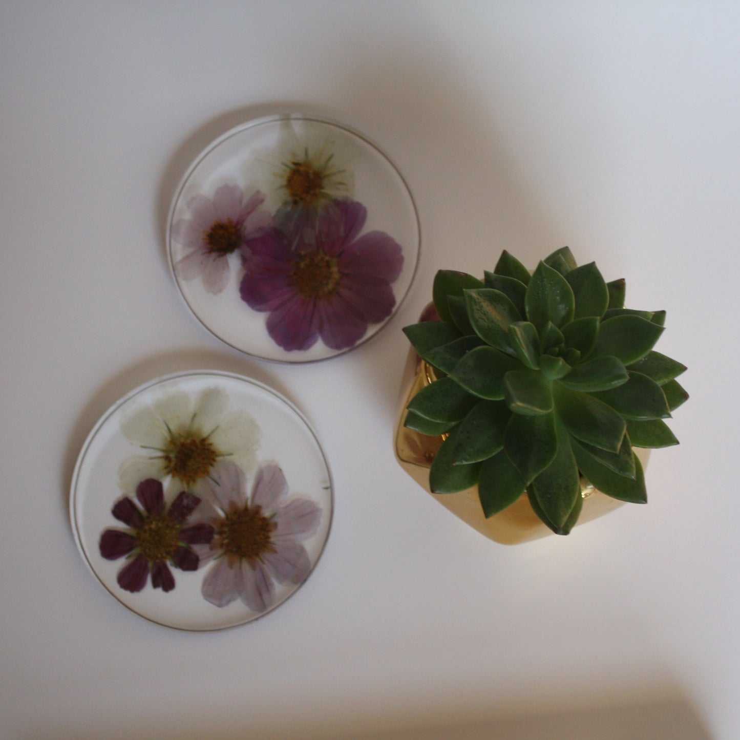 Coasters - Set of 2